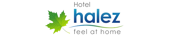 Hotel Halez