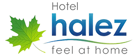 Halez-Logo-mobile-view